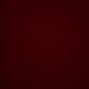 Meet your Posher, Hoddie